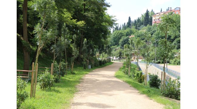 Cımbızdere Vadisi ziyaretçilerini bekliyor