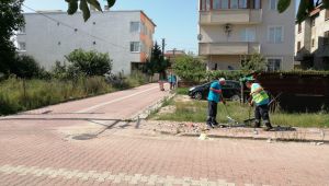 Daha temiz bir Darıca için