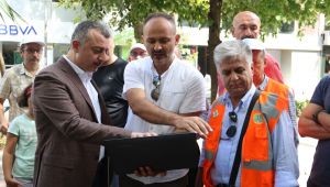 Asırlık çınarların röntgeni çekiliyor