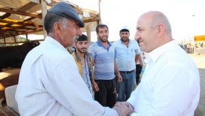 Darıca Kurban Bayramı'na hazır