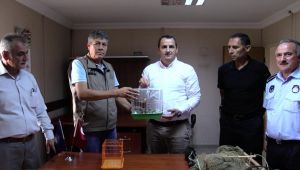 Darıca zabıtası suçüstü yaptı