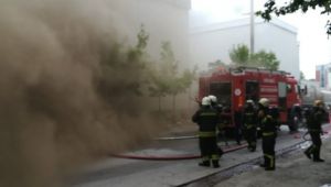 Gebze'deki yangın ağaçlık alana sıçradı