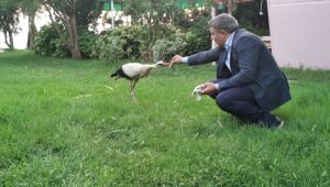 Şayir sahip çıktı