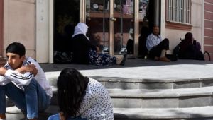 HDP Gebze'nin pikniğinden PKK kampına