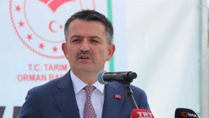 Süte zam yolda!