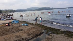 Tam 53 ton toplandı