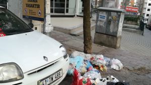 Tedbir alınmazsa, o sokağı b.k götürecek!