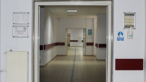 Darıca Farabi, 48.'sini gerçekleştirdi