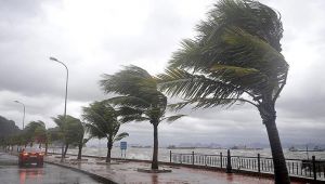 Gebze Belediyesi teyakkuza geçti