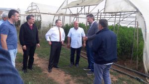 Gebzeli çiftçilere 800 bin TL’lik destek