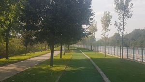 Kartepe Yürüyüş Yolu 2. etabı yemyeşil oldu