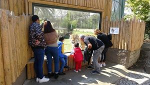 Kış için hazırlıklar tamamlandı