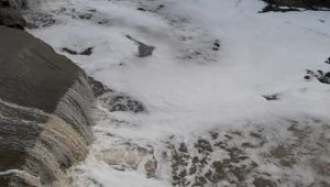 Muhtar dereyi kirletenleri mahkemeye verecek