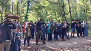 Ormanya’nın Kuşları keşfedildi