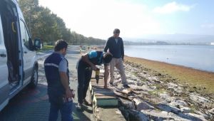 Sahildeki kentsel donatılar yenilendi