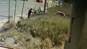 Yaşlı kadının parasını çalan hırsız yakalandı