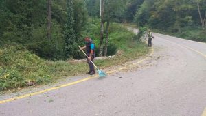 Yollarda görüşü engelleyen otlar temizlendi
