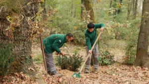 Avrupa’nın en büyük doğal yaşam parkı kışa hazırlanıyor