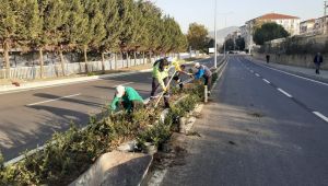 Bahriye Üçok Caddesi yeşillendirildi