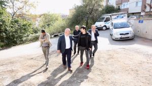 Bıyık sorunun olduğu bölgeye gitti