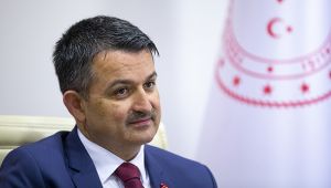 Çiftçiye 284 milyon liralık destek