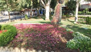 Eskihisar'ın çehresini değiştiriyorlar