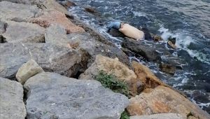 Eskihisar sahilde erkek cesedi bulundu