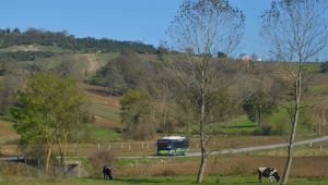 Hat 805 ile Kandıra merkeze aktarmasız ulaşım