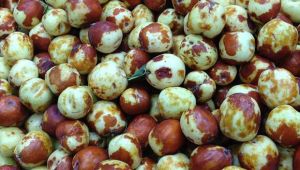 Hünnap meyvesi kanseri önlüyor!