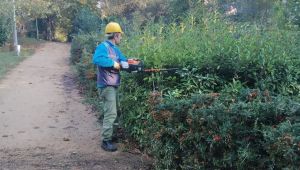 Kaşkaldere mesire alanına periyodik bakım