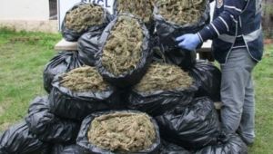 Kilolarca esrar, yüzlerce uyuşturucu hap yakalandı