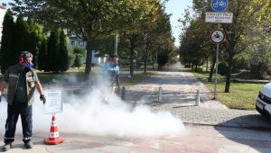 Kış gelmeyecek, sivrisineklerle mücadeleye devam