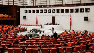 Milletvekilleri istedikçe istiyor