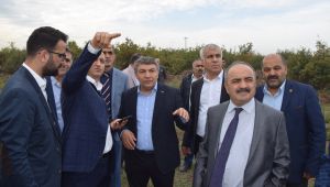 Parmakla gösterilen yere merkezini kuracaklar