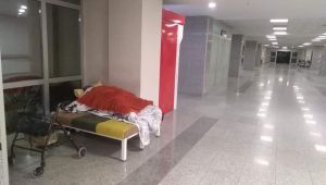 Seher Teyzeye Büyükşehir sahip çıktı