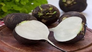 Siyah turp böbrek taşının atılmasını sağlıyor!