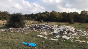 Tepecik Mahallesi’nde çevre katliamı