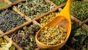 Bitki çaylarını tüketirken doğru bildiğimiz yanlışlar