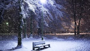 Bu senede Kocaeli'ne kar yok!