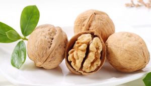 Ceviz organ yağlanmasını önlüyor!