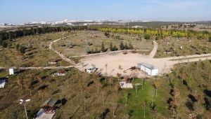 Dilovası'na 207 dönümlük dev proje