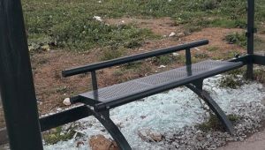 Durak camını kıran bir çete mi var?