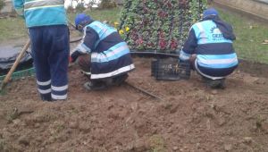 Eskihisar'a dekoratif peyzaj düzenlemesi