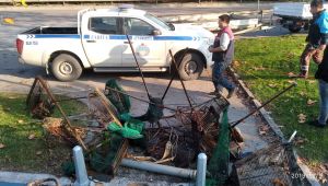 Kaçak Midye avına geçit yok