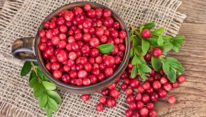 Kekreyemiş meyvesi yağları eritiyor!