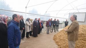 KO-MEK Mantar Yetiştiriciliği kursuna ilgi yoğun