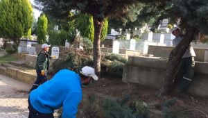 Mezarlıklara periyodik bakım