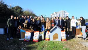 Umuttepe’deki sokak hayvanlarına yardım eli