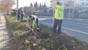 Yol kenarlarındaki boş alanlar ağaçlandırılıyor