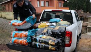 Büyükşehir’den STK’lara mama desteği